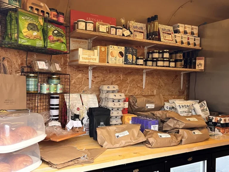 2025-01-10_11-22-13_1736508152