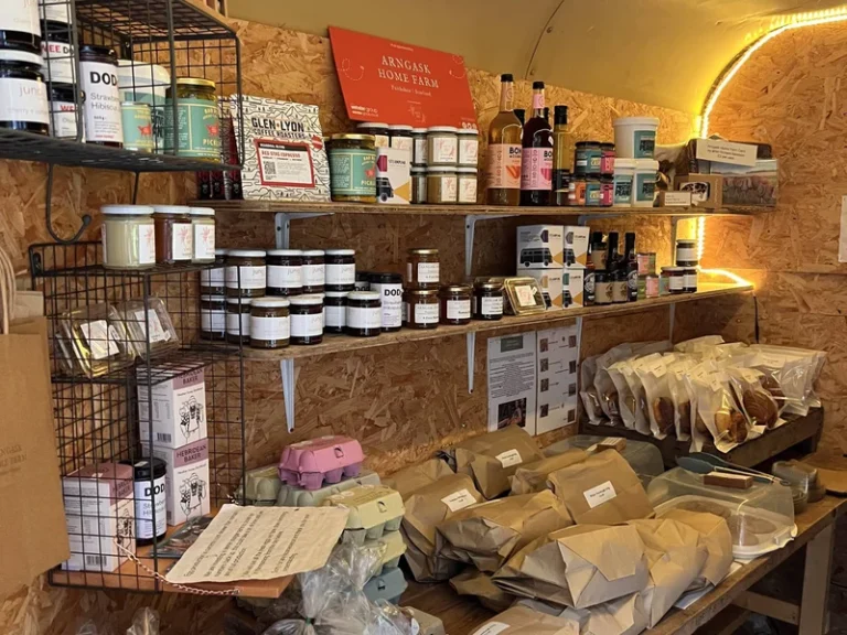 2025-01-10_11-26-59_1736508434