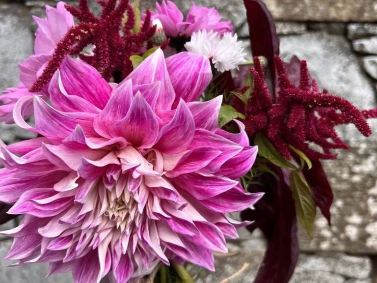 2025-01-10_11-31-54_1736508731