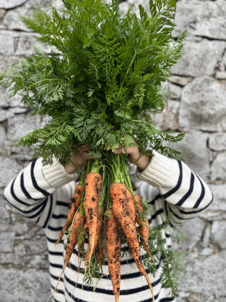 tempImageK4wDsy_1736509305